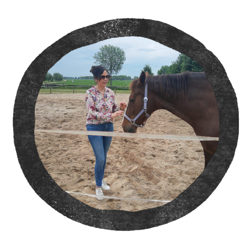 Pauline | Review paardencoaching